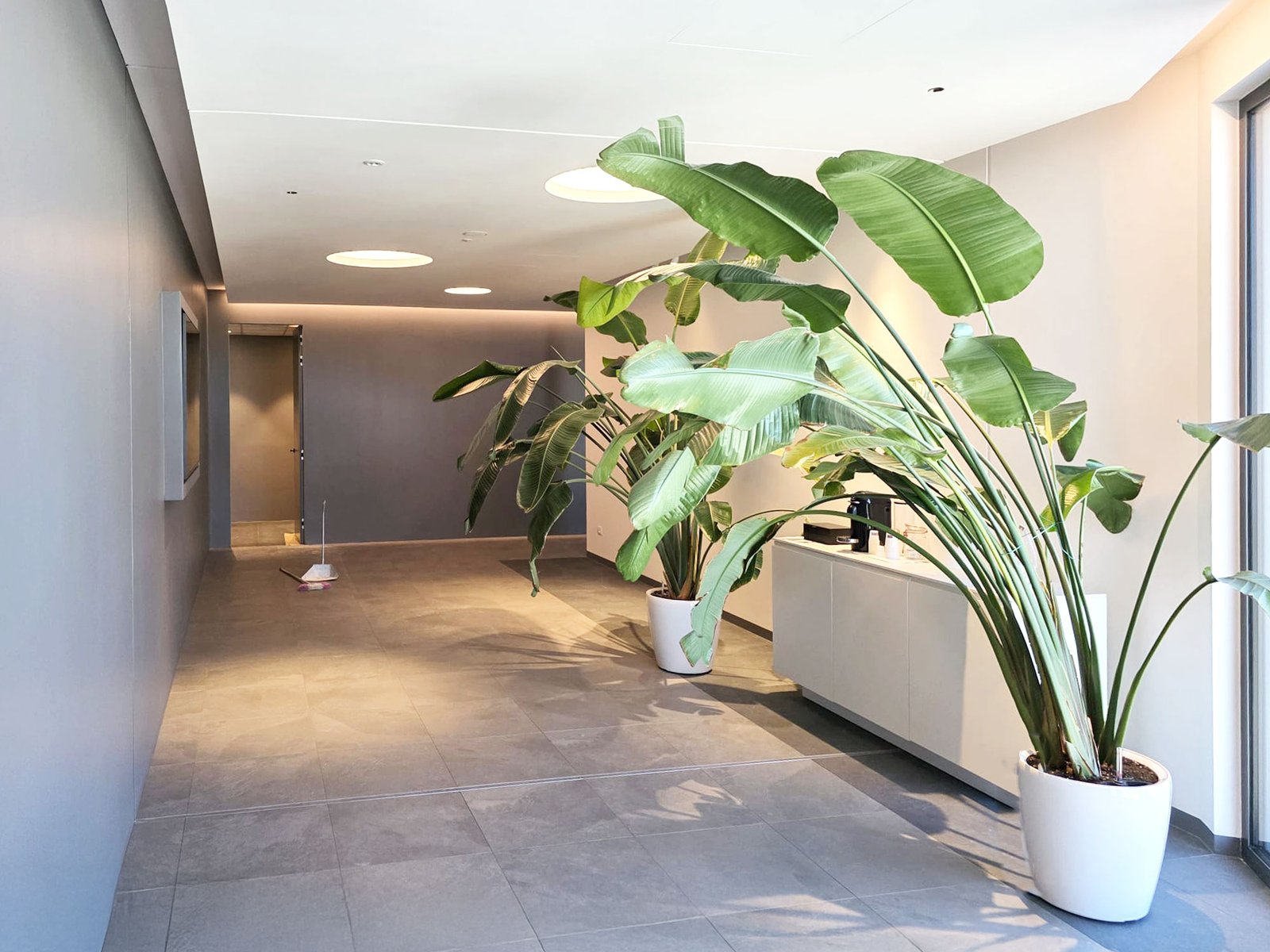 Lavori muratura di design in cartongesso a Padova – BL Gesso